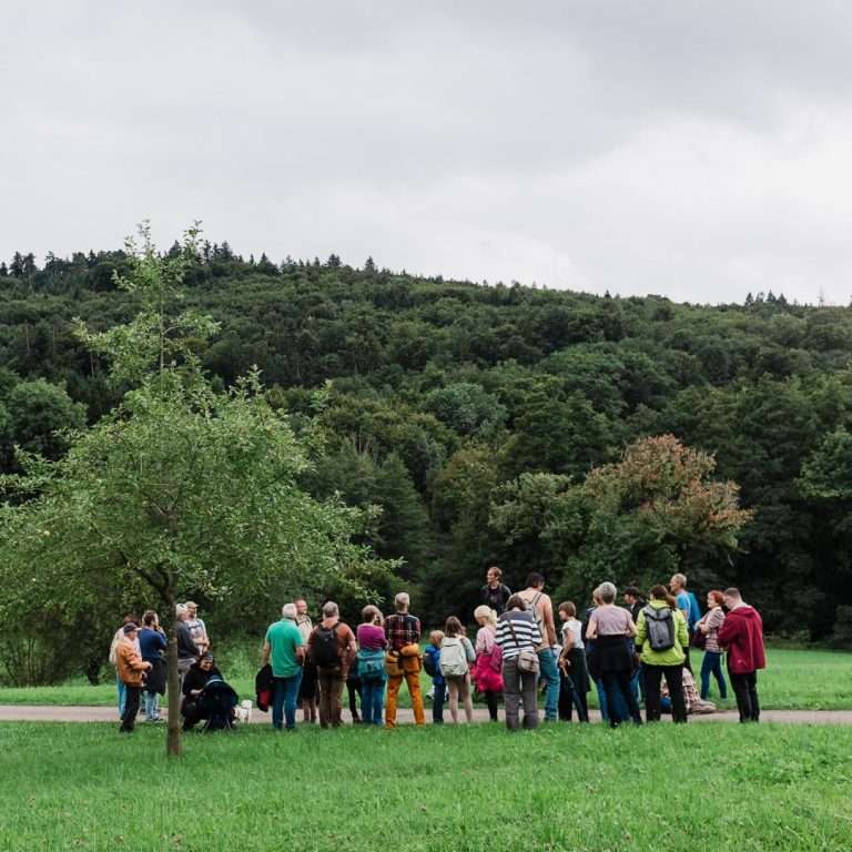 Oberes Zipfelbachtal: Einst von Deponie-Sickerwasser vergiftet, heute ein Naturschutzgebiet