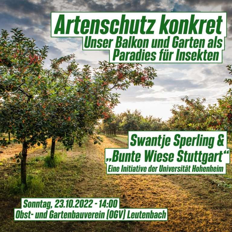 Artenschutz konkret am 23. Oktober um 14 Uhr: Unser Balkon und Garten als Paradies für Insekten