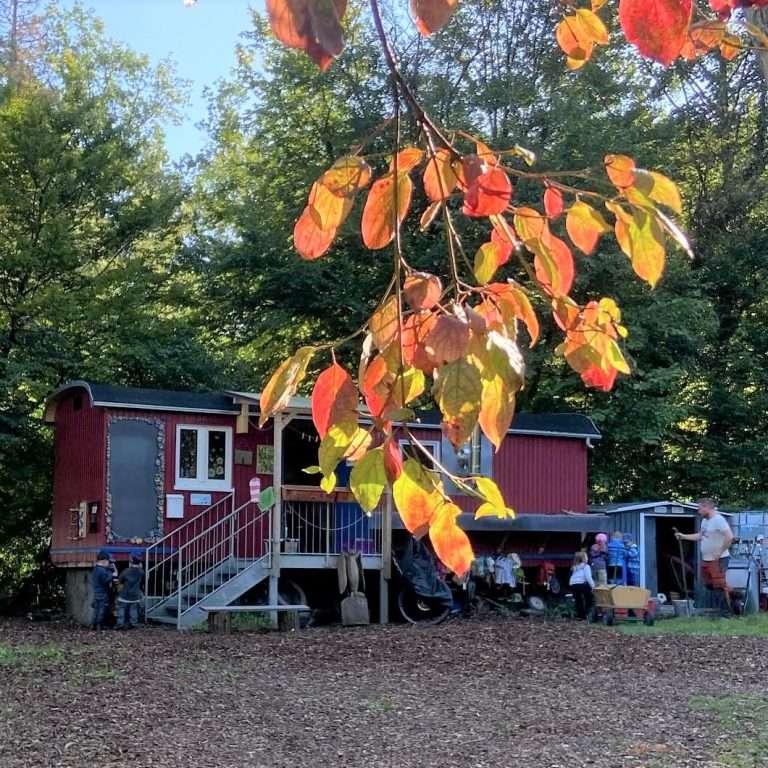Von der Elterninitiative zum Vorzeigemodell: Mein Tag bei der Waldbande Korb