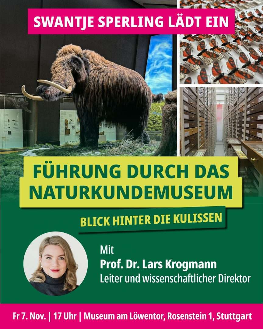 Exklusive Einblicke hinter die Kulissen des Museums am Löwentor mit Prof. Dr. Lars Krogmann