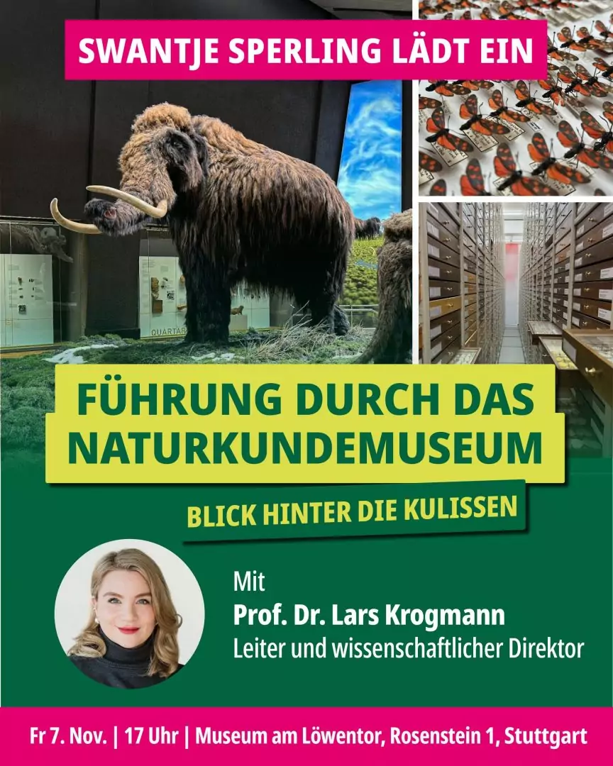 Exklusive Einblicke hinter die Kulissen des Museums am Löwentor mit Prof. Dr. Lars Krogmann