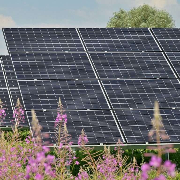 Ausbau der Photovoltaik im Rems-Murr-Kreis schreitet deutlich voran – Immer mehr Bürger:innen und Unternehmen nutzen günstige Solarenergie