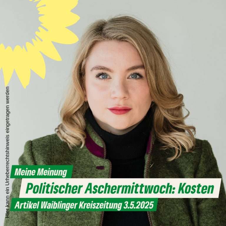 Meine Meinung zur Waiblinger Zeitung vom 3. Mai: Politischer Aschermittwoch: Kosten